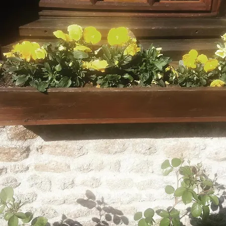 Pod - Sleeps 2 - Jacuzzi - Parking - Garden *