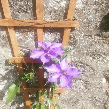 Pod - Sleeps 2 - Jacuzzi - Parking - Garden 別荘 Colombiers-du-Plessis