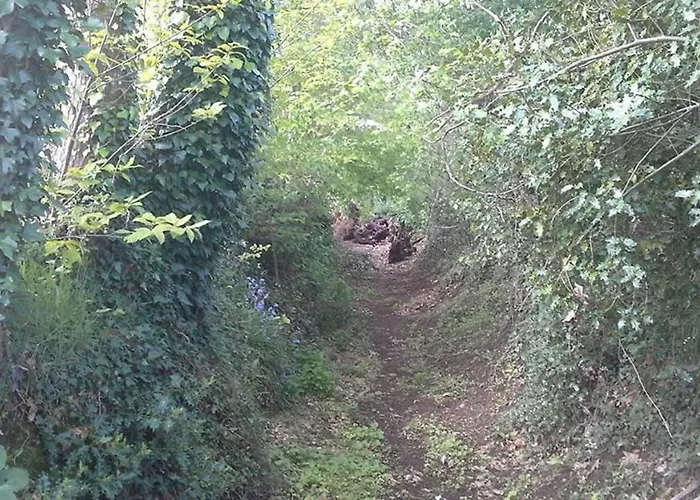 Pod - Sleeps 2 - Jacuzzi - Parking - Garden Feriehus