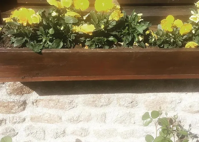 Pod - Sleeps 2 - Jacuzzi - Parking - Garden *