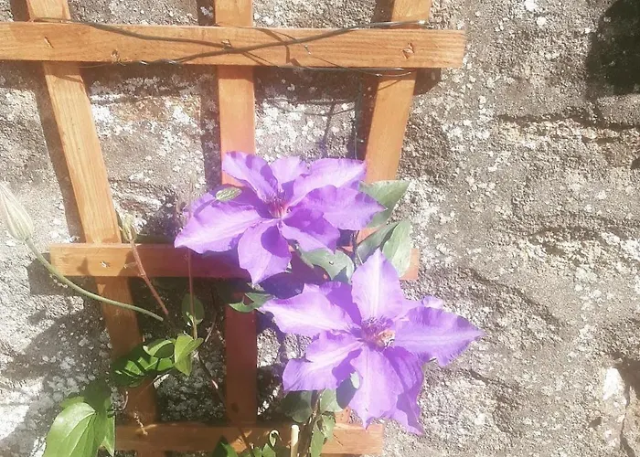 Pod - Sleeps 2 - Jacuzzi - Parking - Garden Feriehus Colombiers-du-Plessis