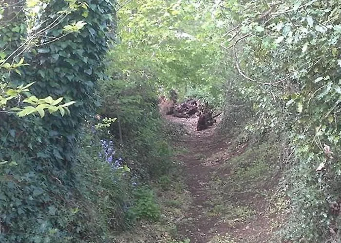 Feriehus Pod - Sleeps 2 - Jacuzzi - Parking - Garden